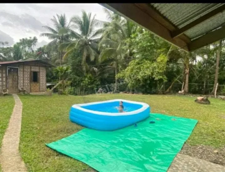 4,560 sqm Farm Lot with Piggery, Poultry, and Mini House in Catmon, Cebu