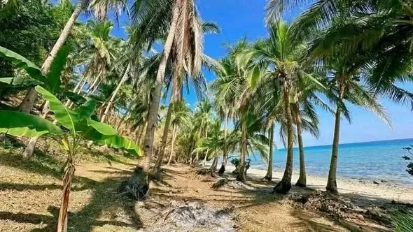 3,334 sqm Beachfront Land in Lower Omon, Ragay