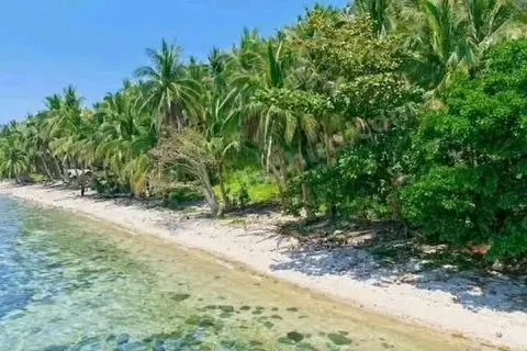 3,334 sqm Beachfront Land in Lower Omon, Ragay