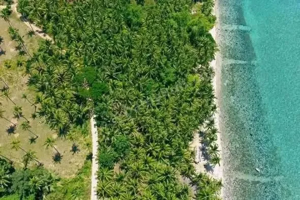 3,334 sqm Beachfront Land in Lower Omon, Ragay