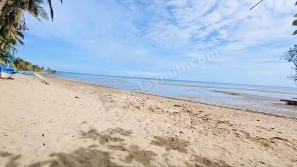 Beachfront Lot in Mulanay, Quezon – 1,000 sqm for ₱2.5M