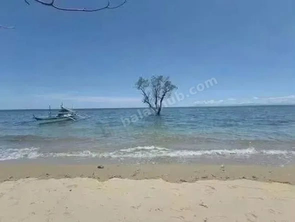 Beachfront Lot in Mulanay, Quezon – 1,000 sqm for ₱2.5M