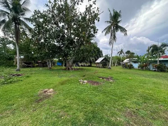 1,064 sqm Titled Lot in Dao, Dauis, Bohol