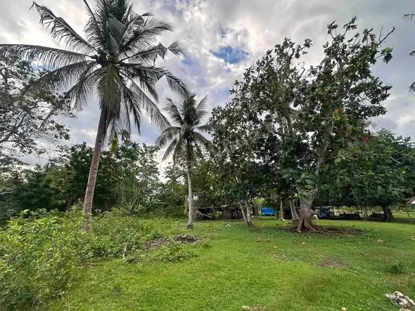 1,064 sqm Titled Lot in Dao, Dauis, Bohol