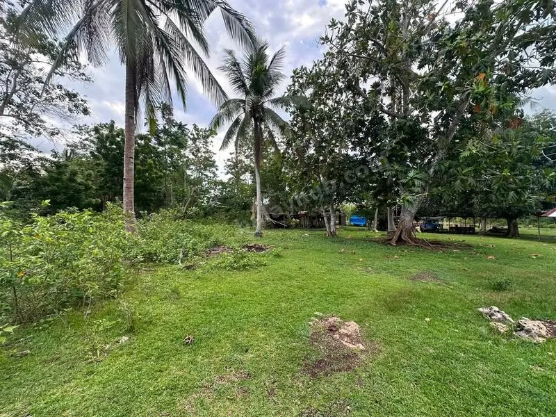1,064 sqm Titled Lot in Dao, Dauis, Bohol