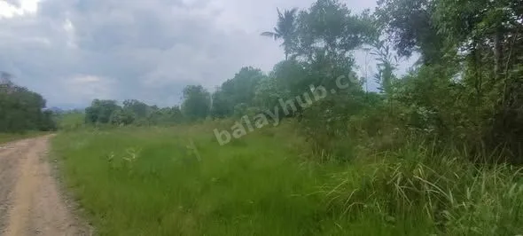 2.5-Hectare Titled Farm Lot in Aborlan, Palawan