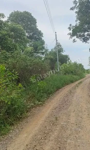 2.5-Hectare Titled Farm Lot in Aborlan, Palawan