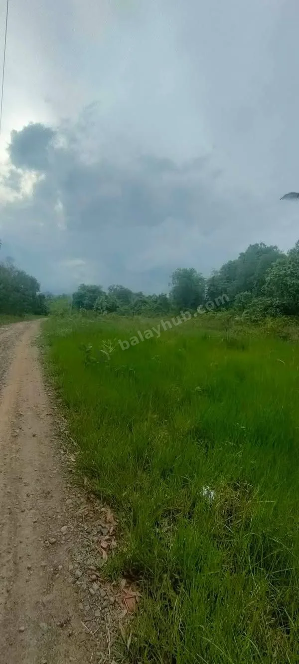 2.5-Hectare Titled Farm Lot in Aborlan, Palawan