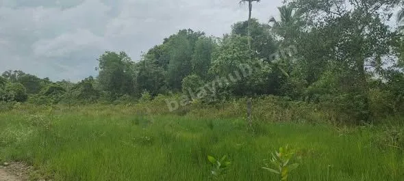 2.5-Hectare Titled Farm Lot in Aborlan, Palawan