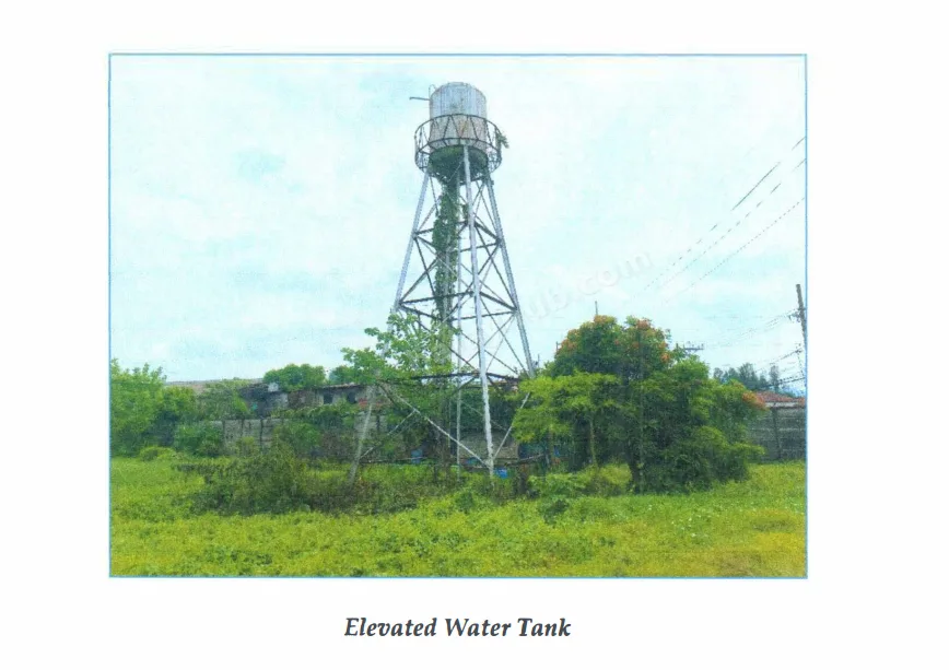 Agro-Industrial Land in Masiit, Calauan, Laguna