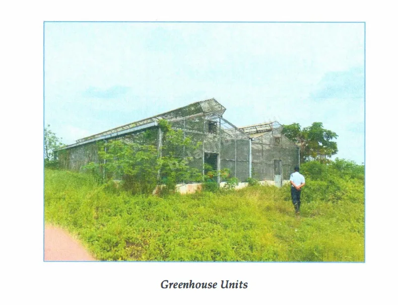 Agro-Industrial Land in Masiit, Calauan, Laguna