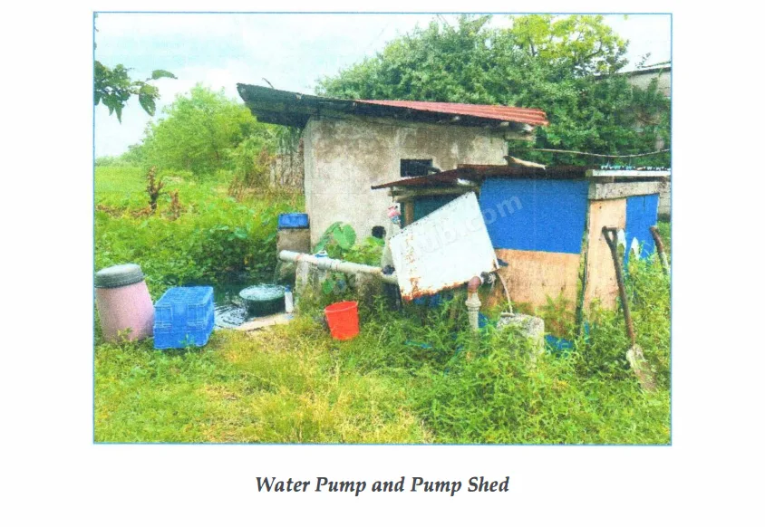 Agro-Industrial Land in Masiit, Calauan, Laguna
