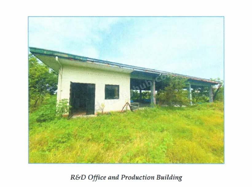 Agro-Industrial Land in Masiit, Calauan, Laguna