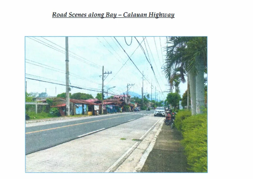 Agro-Industrial Land in Masiit, Calauan, Laguna