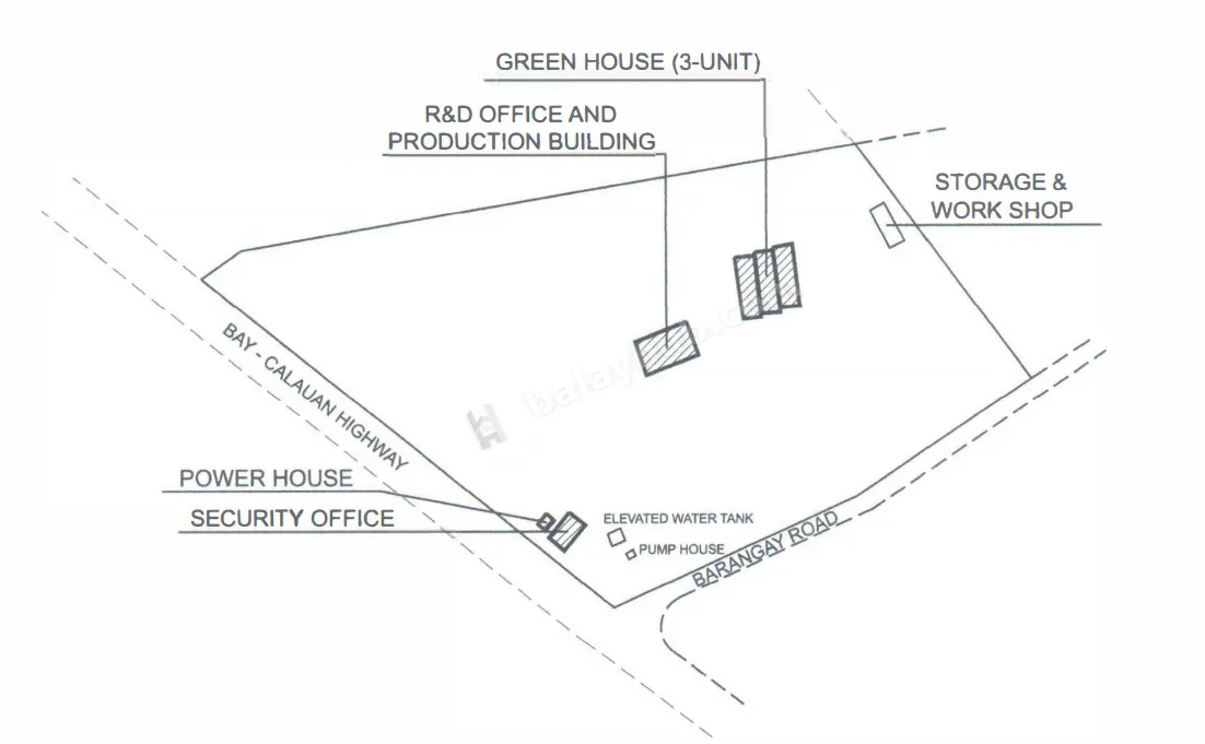 Agro-Industrial Land in Masiit, Calauan, Laguna