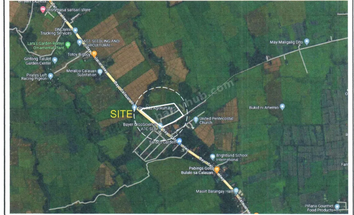 Agro-Industrial Land in Masiit, Calauan, Laguna