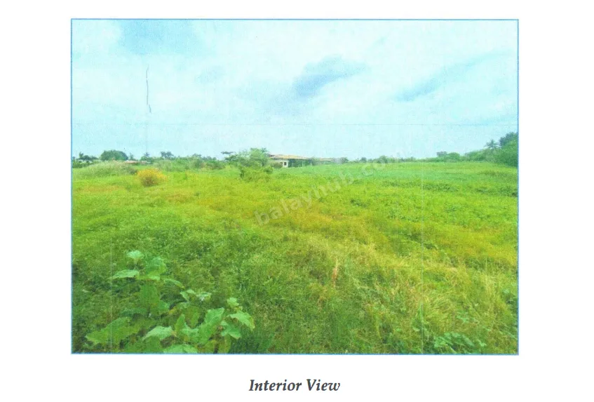 Agro-Industrial Land in Masiit, Calauan, Laguna