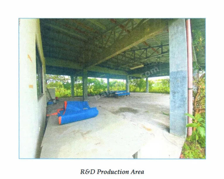 Agro-Industrial Land in Masiit, Calauan, Laguna