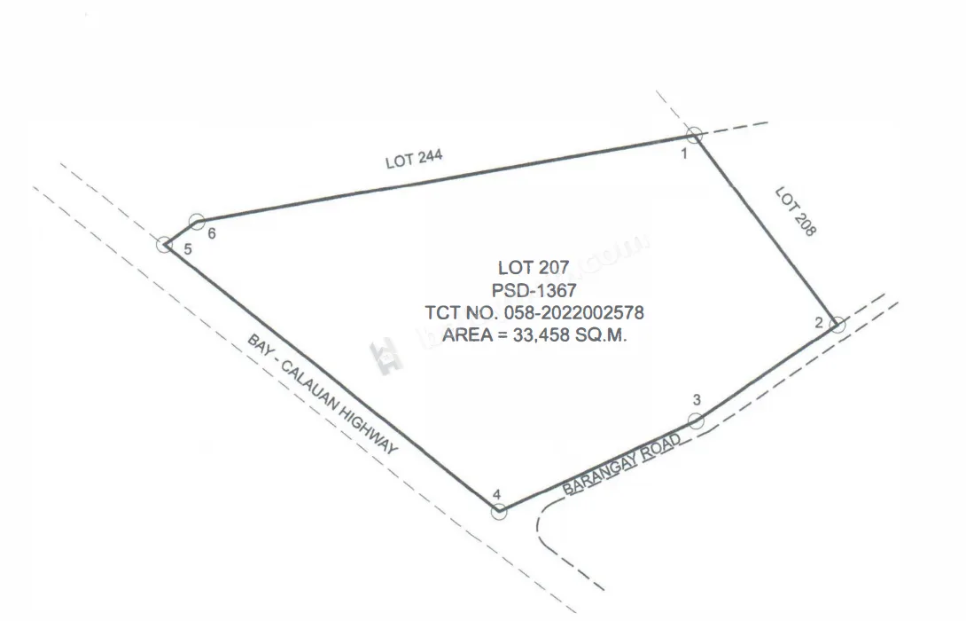 Agro-Industrial Land in Masiit, Calauan, Laguna
